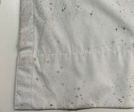 Tapete antes da limpeza